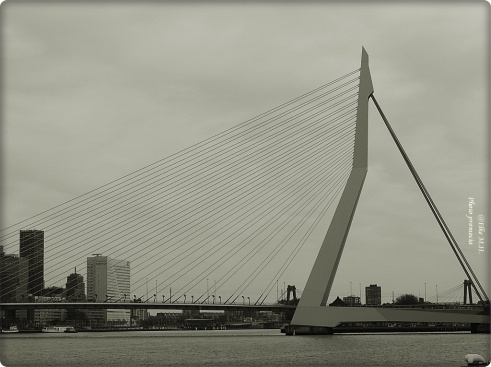 Brücke in Rotterdam